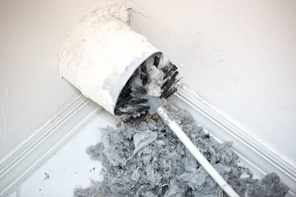 Air Duct Mold Removal in Lemont, IL